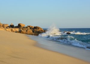 Cabo Tours and Excursions