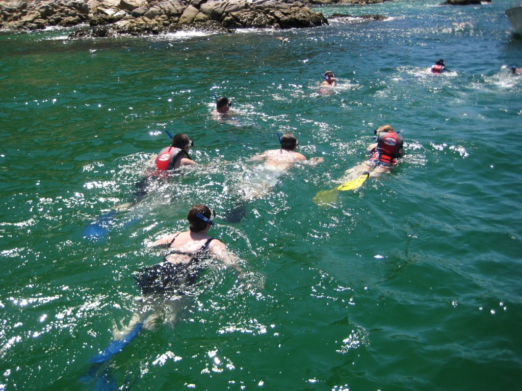 Cabo san lucas snorkeling