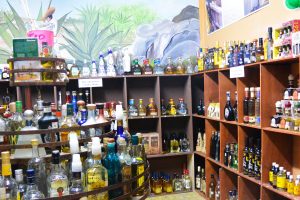 Cabo Private Site Seeing Tours Tequila