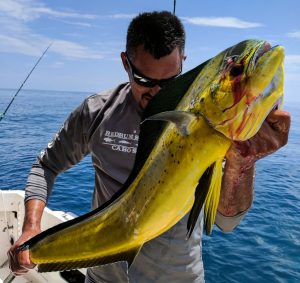 cabo fishing trips
