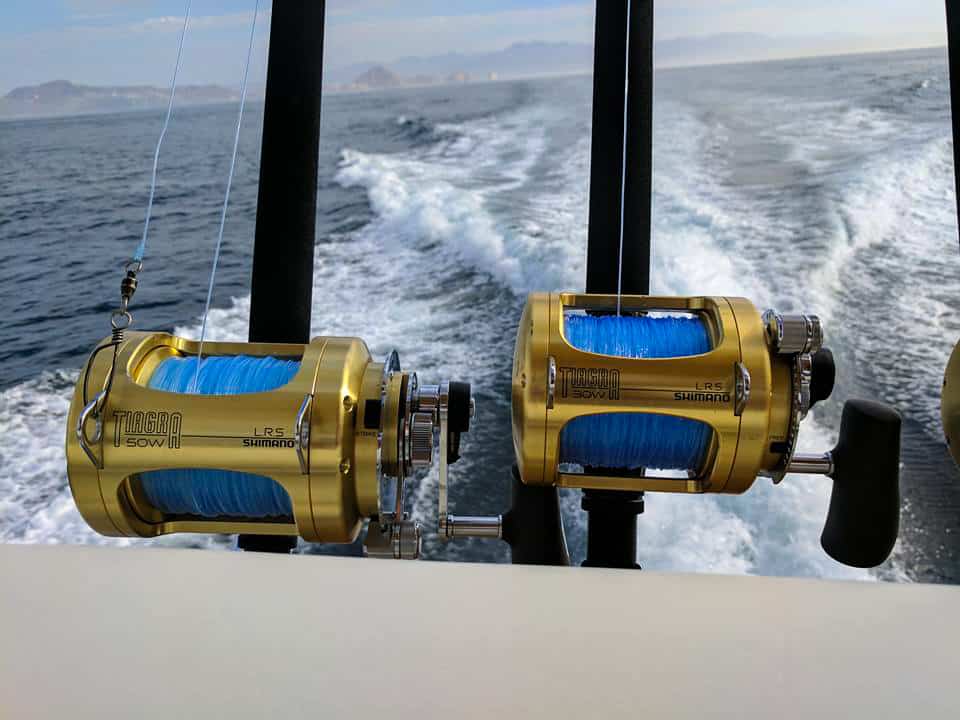 Deep Sea Fishing Cabo San Lucas