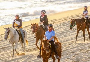 beach horseback riding cabo