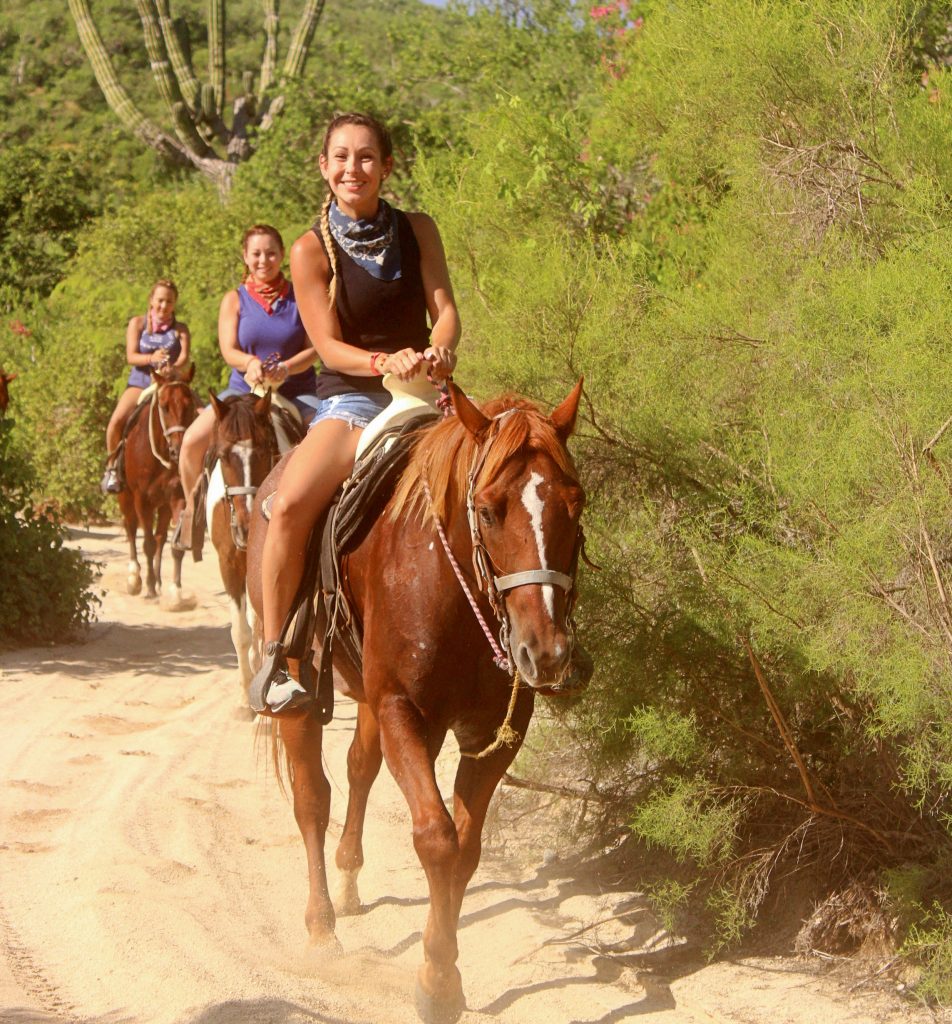 Horseback riding in Cabo
