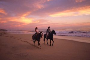 beach and desert horseback riding cabo